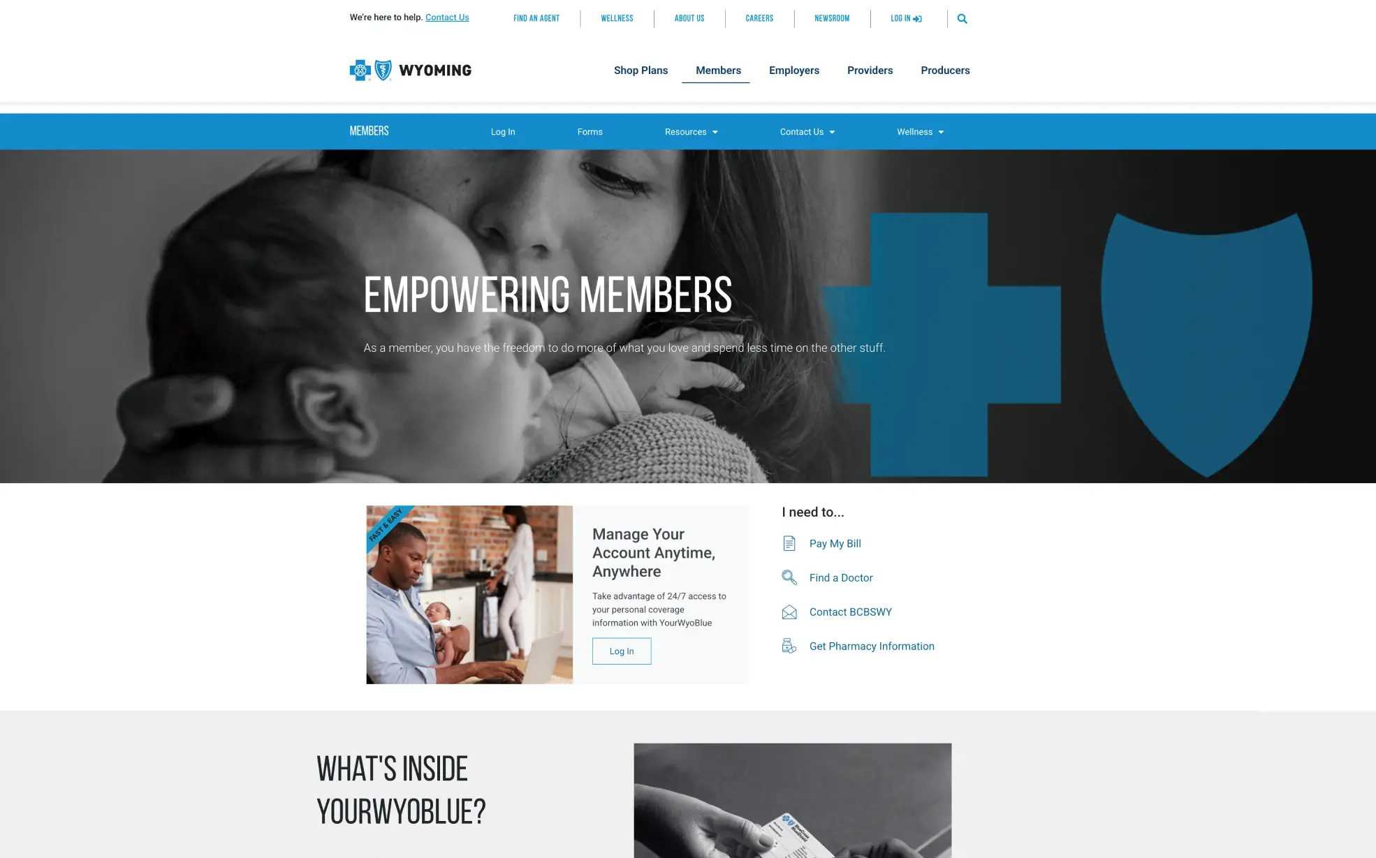 BCBSWY — Corporate Website Redesign & Portal Management